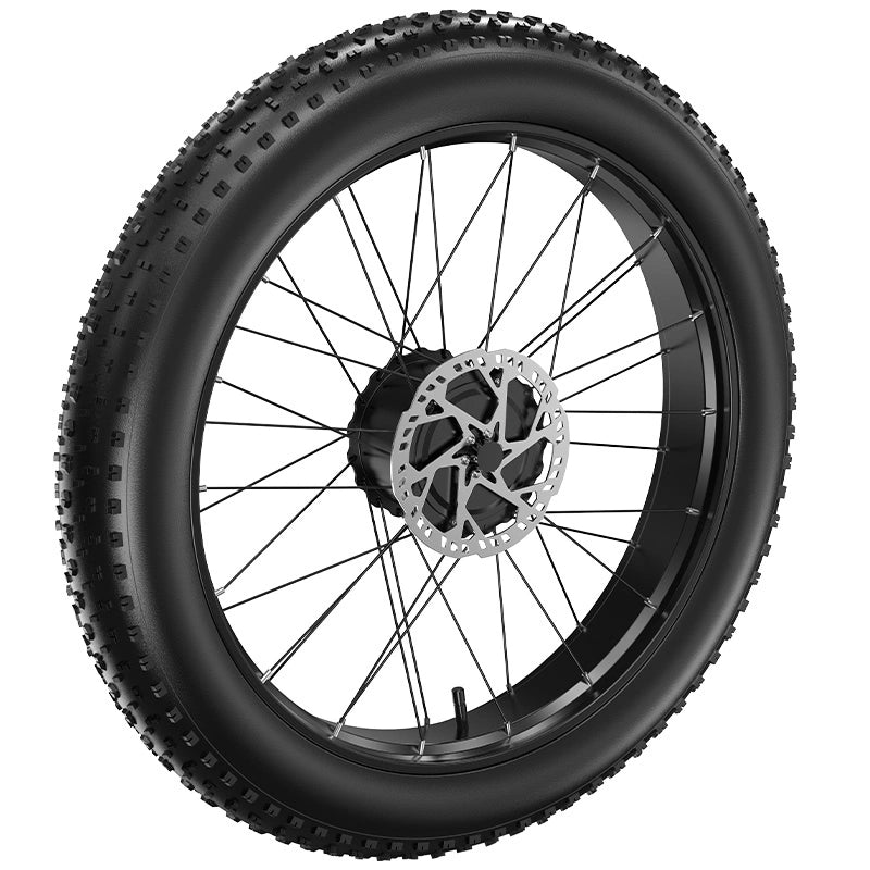 FENGQS H6 PRO Elektrofahrradmotor mit Reifen