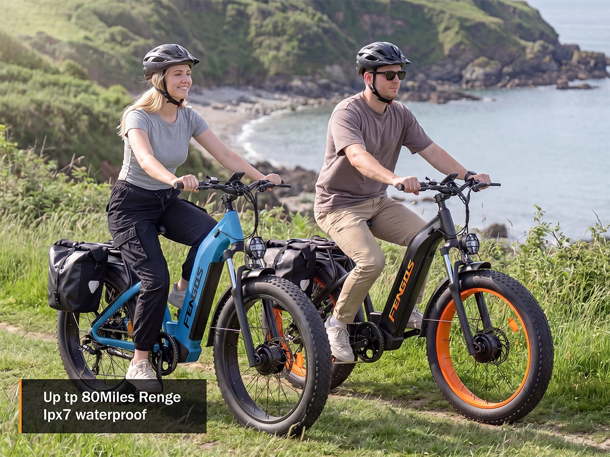 FENGQS H2 PRO Offroad-Elektrofahrrad mit zwei Motoren