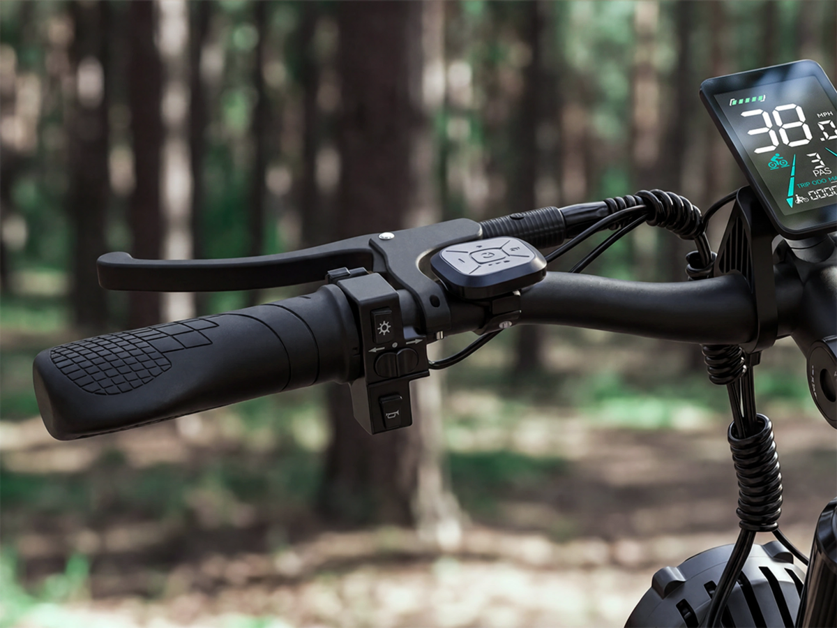 FENGQS H2 PRO Offroad-Elektrofahrrad mit zwei Motoren