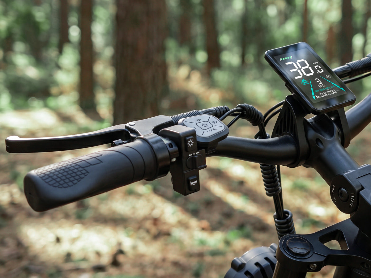 FENGQS H6 PRO Offroad-Elektrofahrrad für Erwachsene