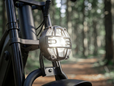FENGQS H6 PRO Offroad-Elektrofahrrad für Erwachsene