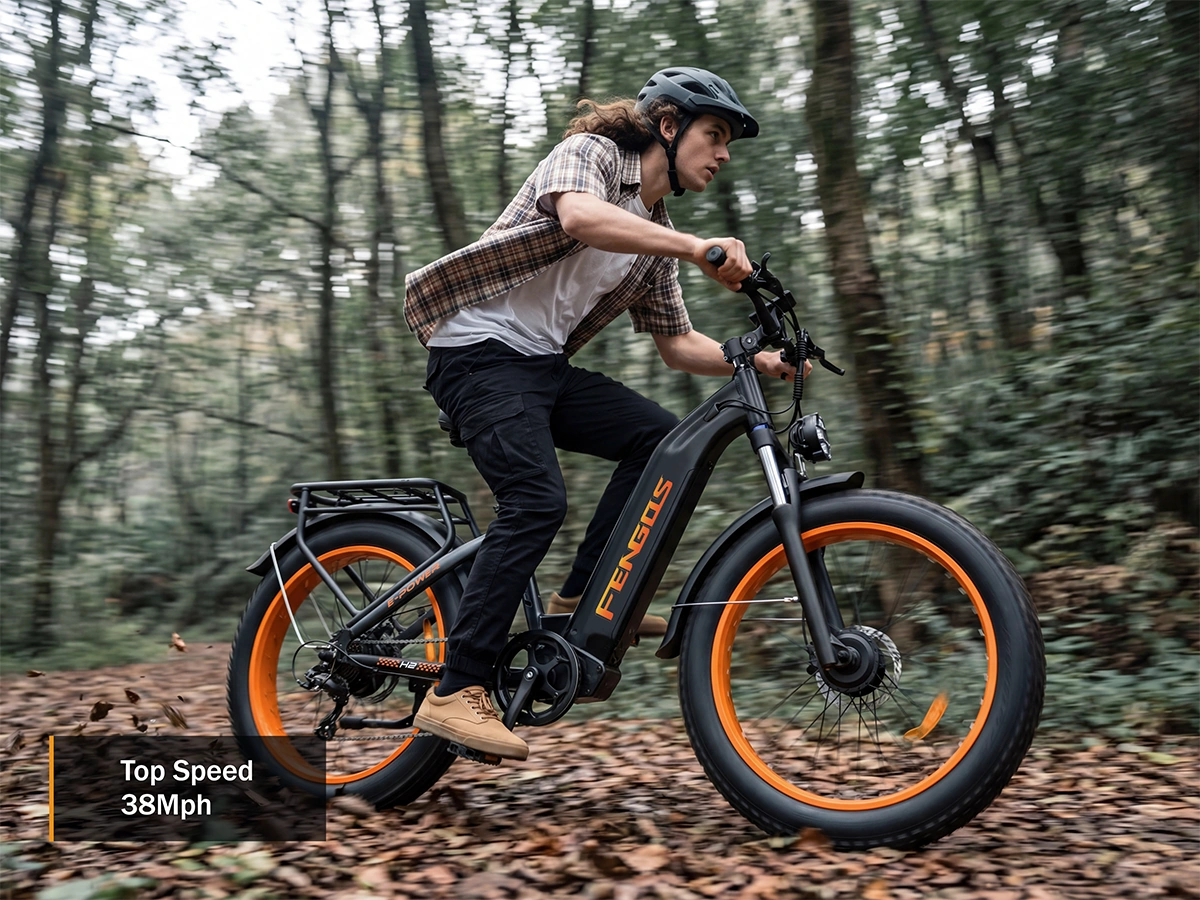 FENGQS H2 PRO Offroad-Elektrofahrrad mit zwei Motoren