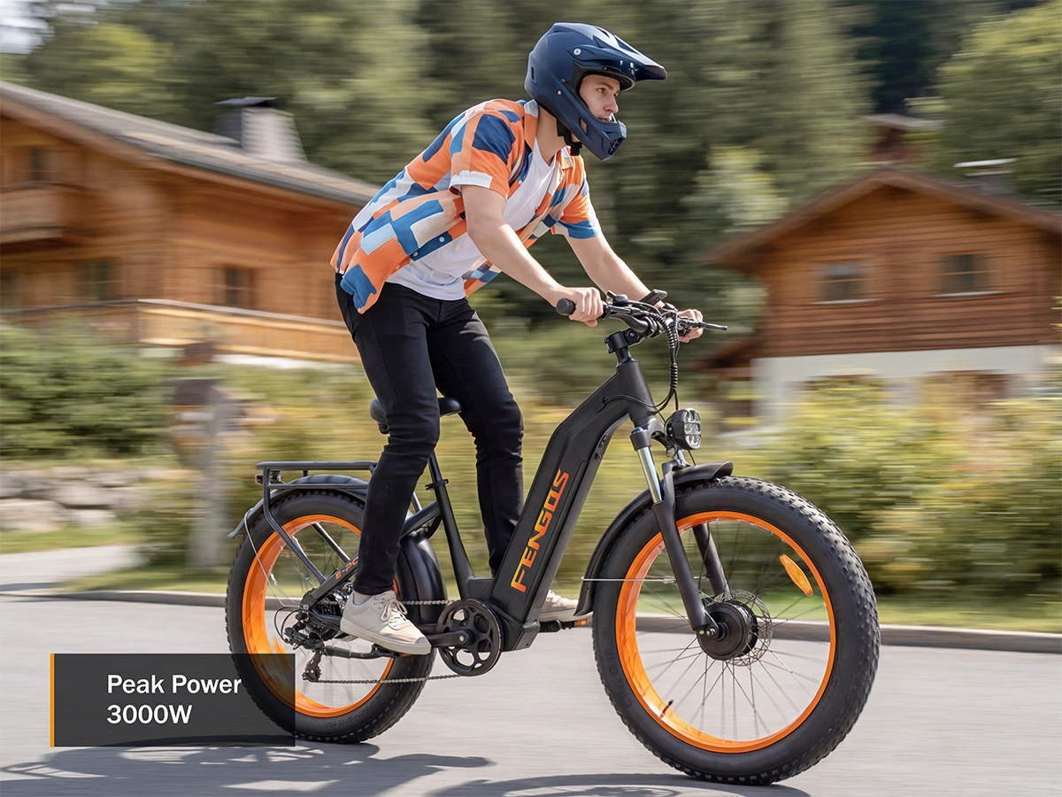 FENGQS H2 PRO Offroad-Elektrofahrrad mit zwei Motoren
