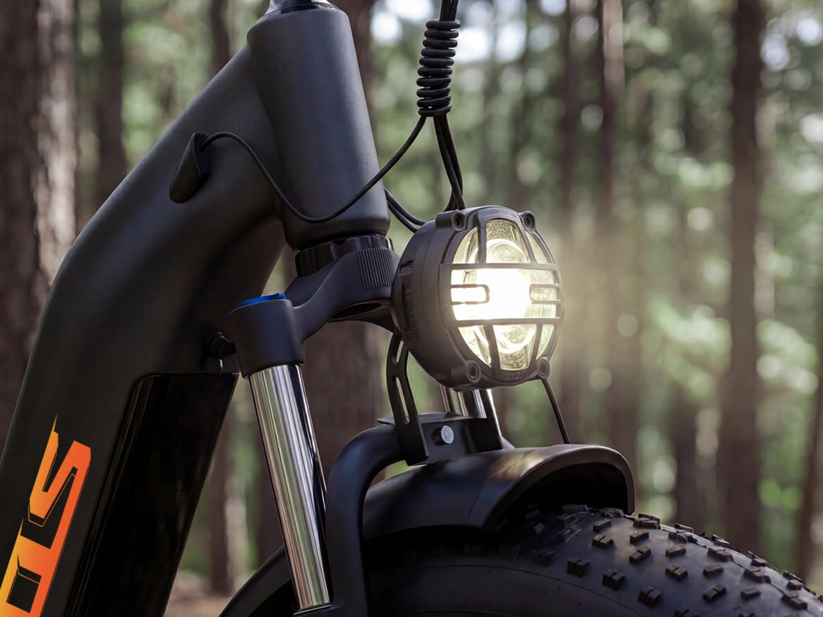 FENGQS H2 PRO Offroad-Elektrofahrrad mit zwei Motoren