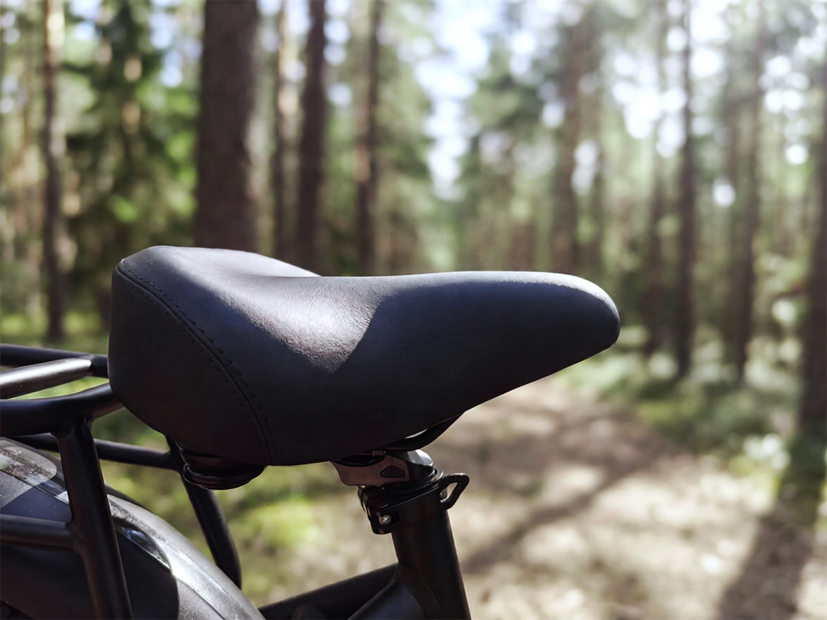 FENGQS H2 PRO Offroad-Elektrofahrrad mit zwei Motoren